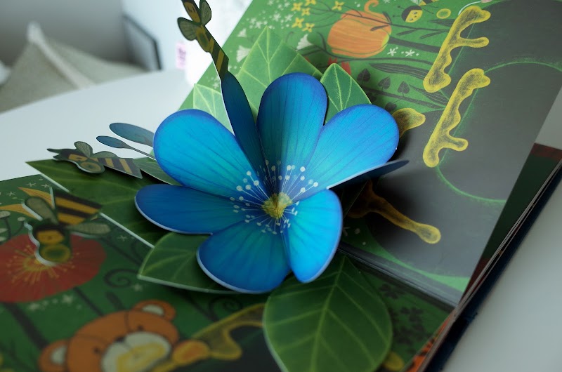 팝업 에디션 북