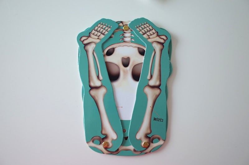 인체 모형 교구